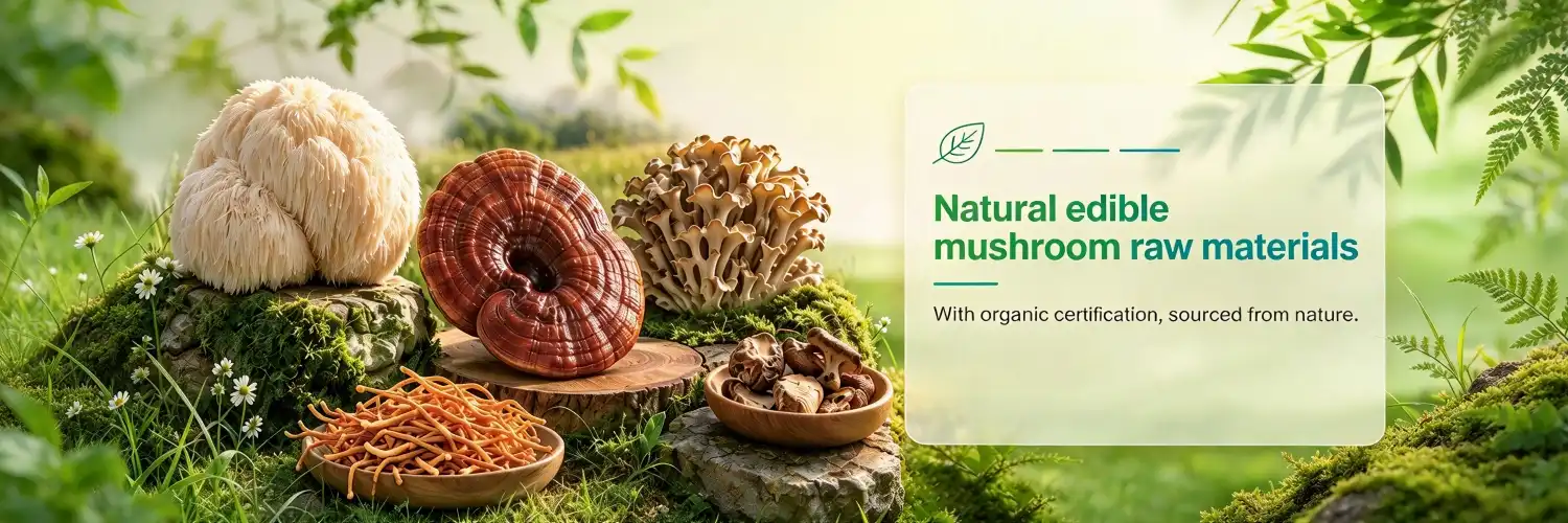 With organic certification, Sourced from nature. With organic certification, Sourced from nature.