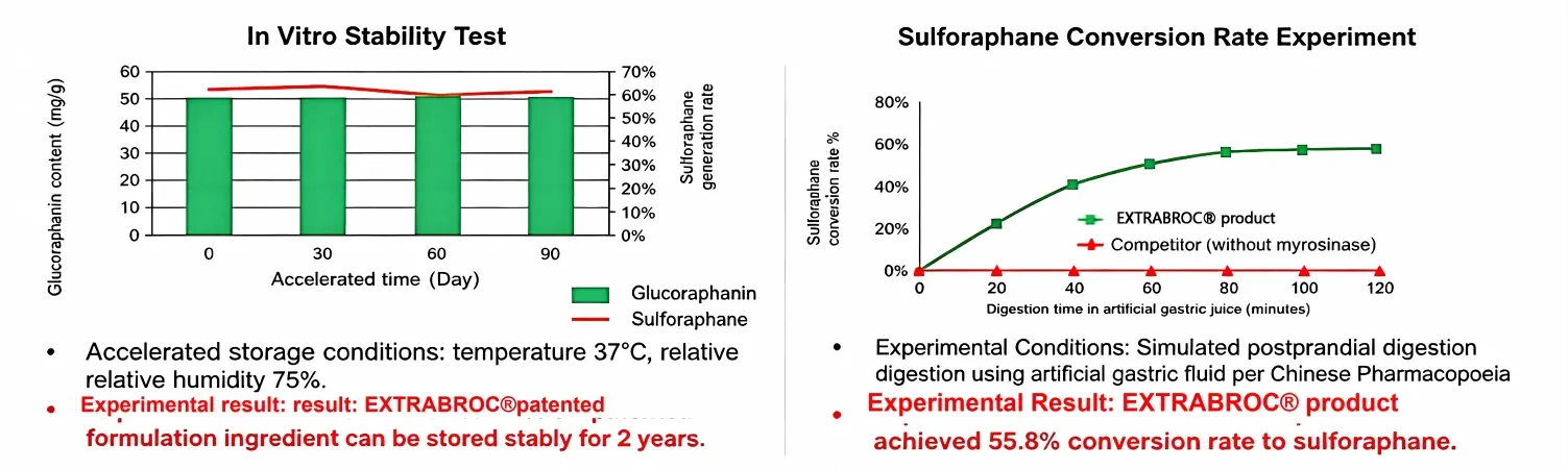 World‑leading technology for in vitro stabilization and in vivo efficient conversion World‑leading technology for in vitro stabilization and in vivo efficient conversion