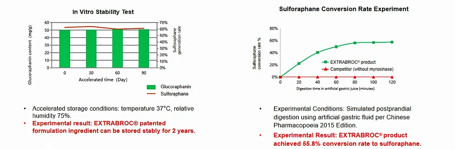World-leading technology for in vitro stabilization and in vivo efficient conversion